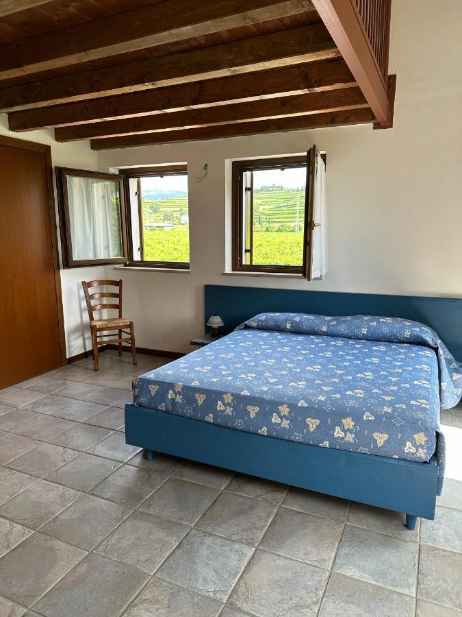Agriturismo Fioravante San Pietro in Cariano Kültér fotó