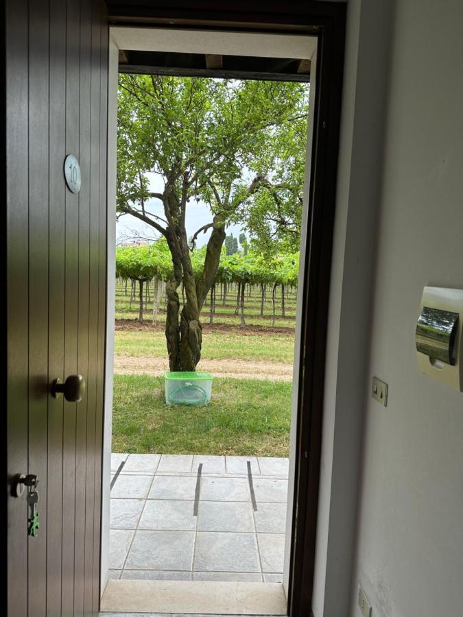 Agriturismo Fioravante San Pietro in Cariano Kültér fotó