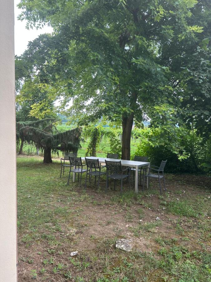 Agriturismo Fioravante San Pietro in Cariano Kültér fotó