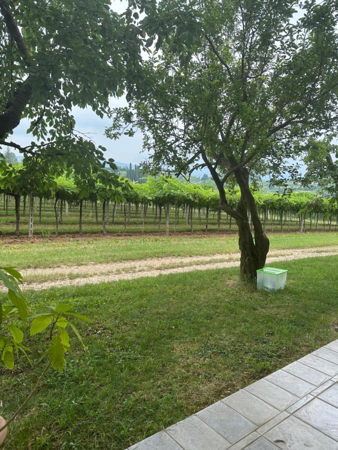 Agriturismo Fioravante San Pietro in Cariano Kültér fotó